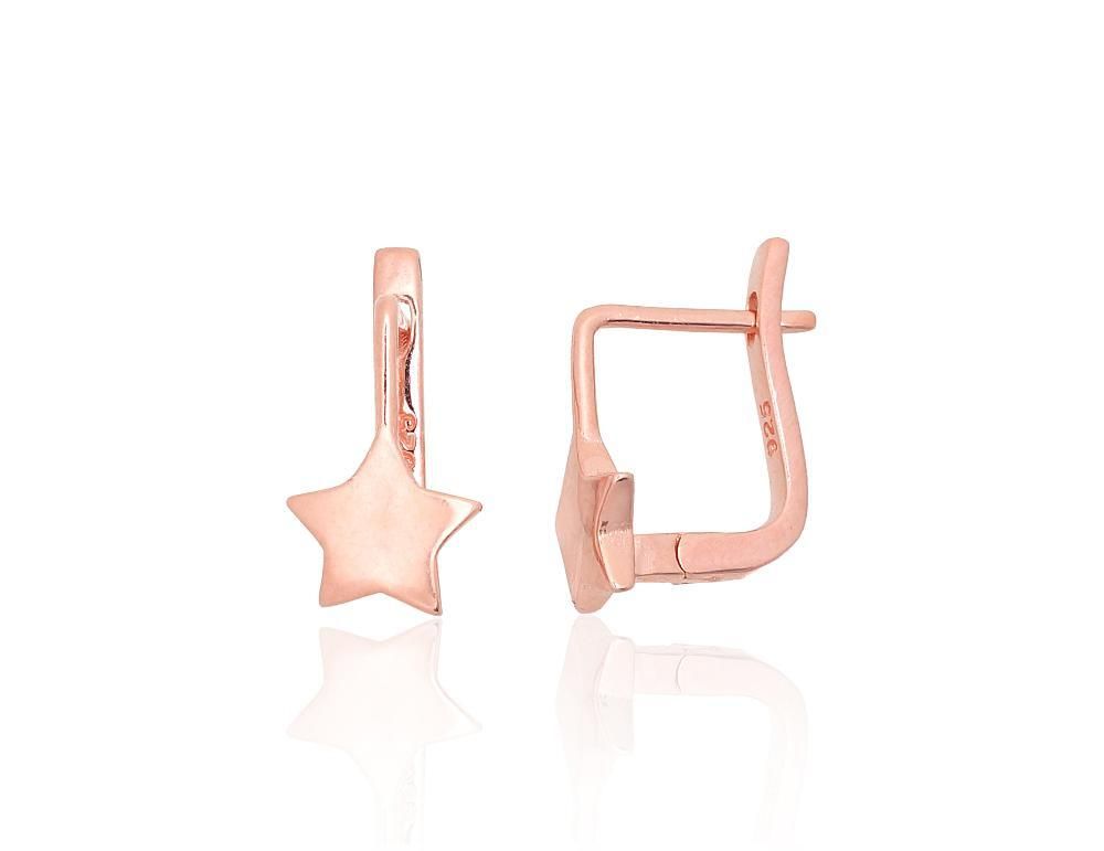 Silver earrings with Lever backs A2204082PAuR