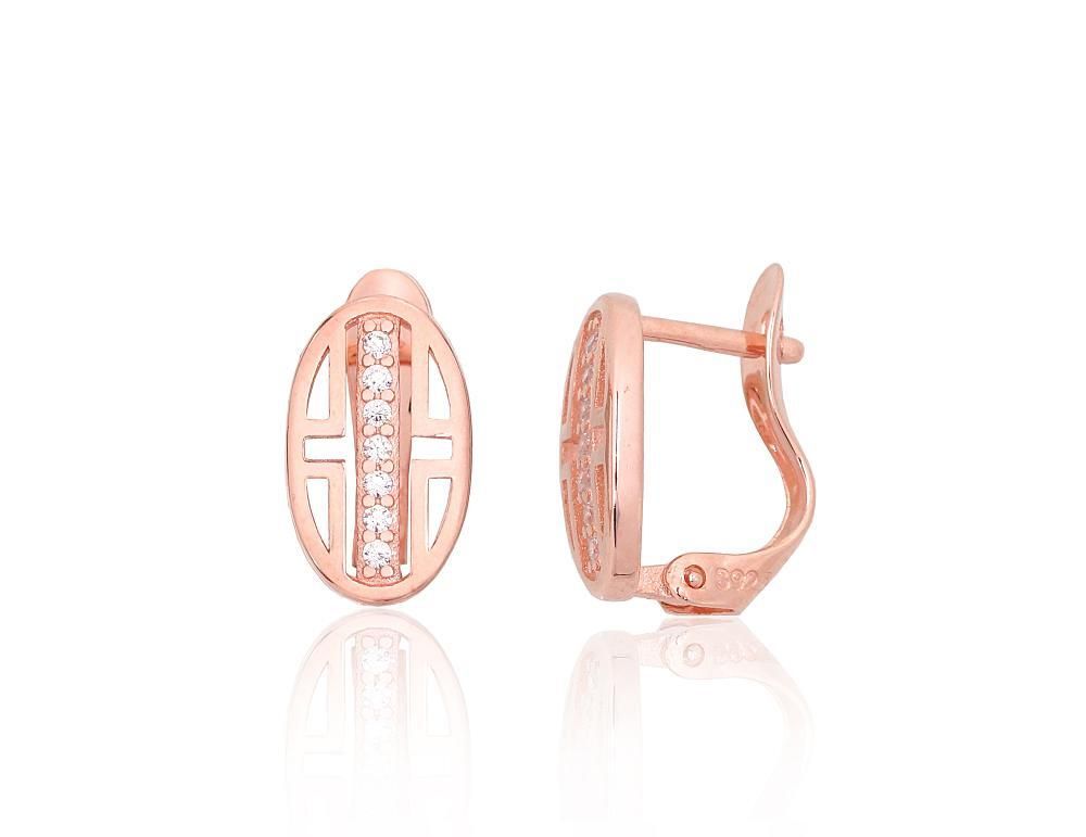 Silver earrrins lever backs A2204116PAuRCZ