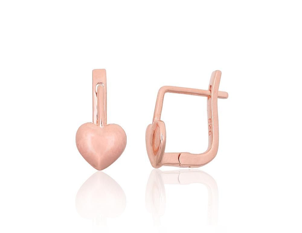 Silver earrings with Lever backs A2204083PAuR