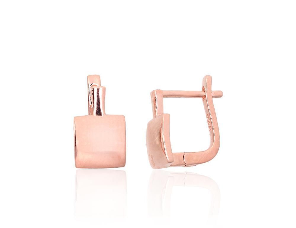 Silver earrings with Lever backs A2204084PAuR