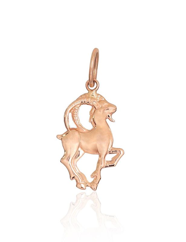 Goldenes Sternzeichen Steinbock A1301112AuR