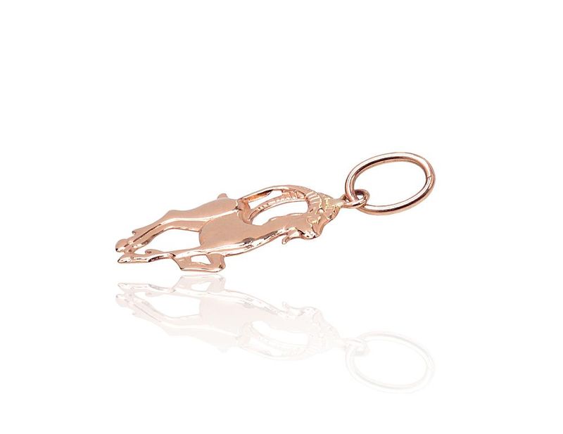 Gold Zodiac Sign Capricorn A1301112AuR