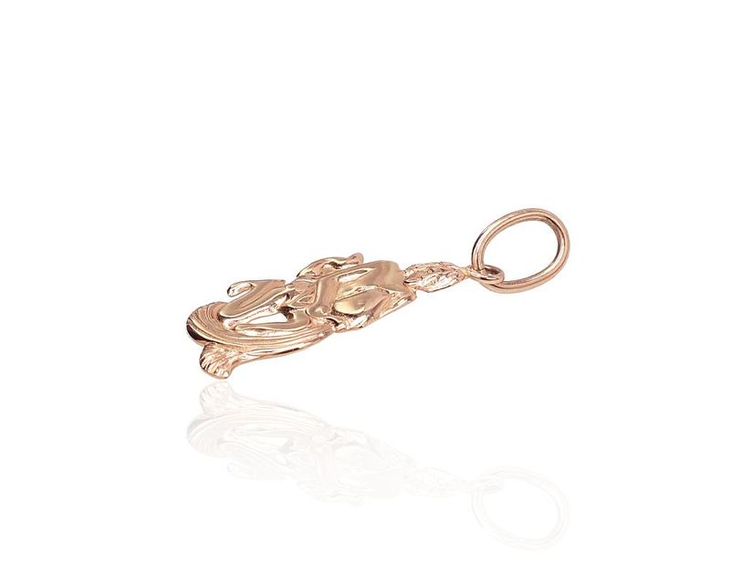 Gold Zodiac Sign Aquarius A1301113AuR