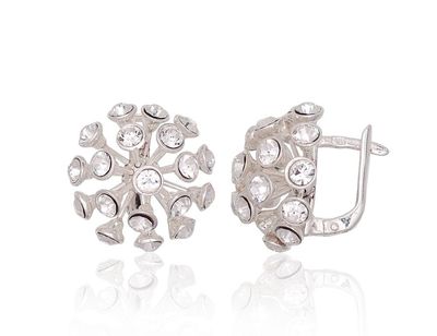 Silver earrings with Lever backs A2203794SV