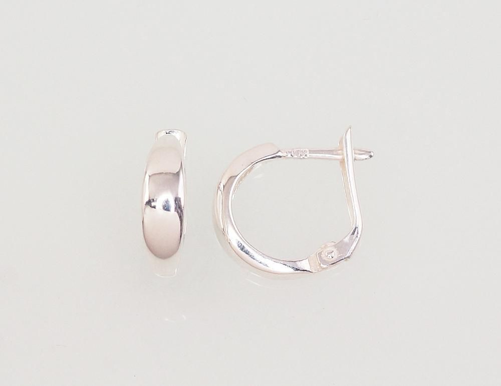 Silver earrings with Lever backs A2203008