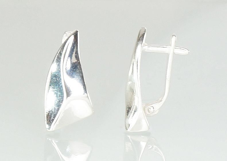 Silver earrings with Lever backs A2201076