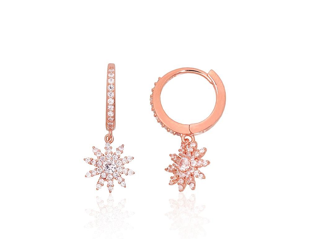 Silver Earrings A2204274PAuRCZ