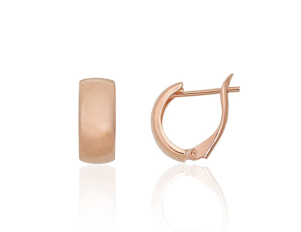 Gold earrings with Lever backs A1201753AuR