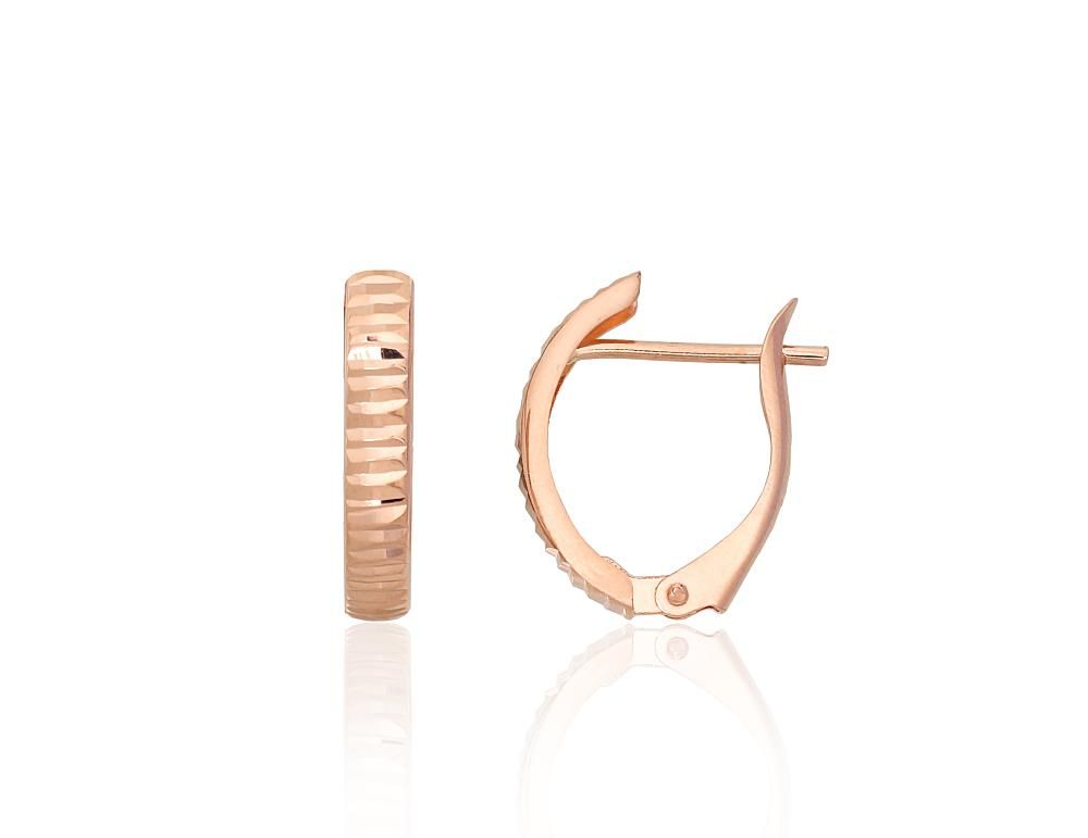 Gold earrings with Lever backs A1201746AuR