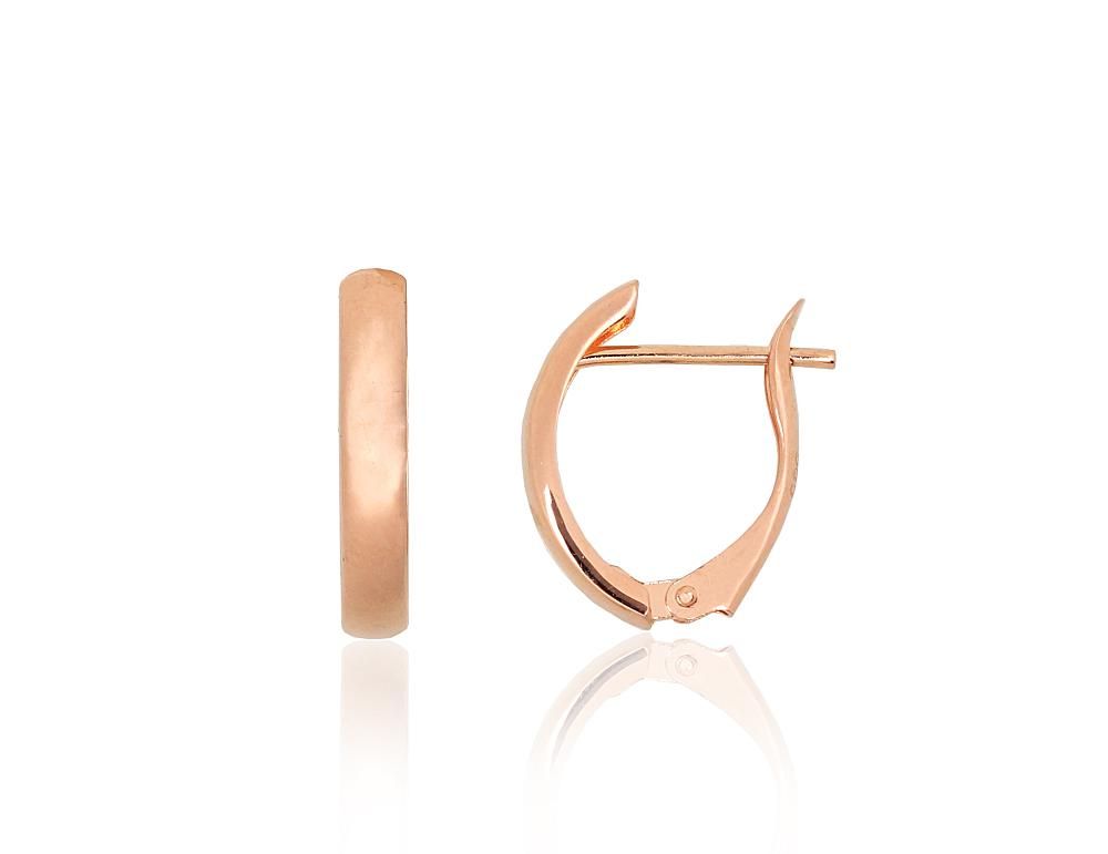 Gold earrings with Lever backs A1201752AuR