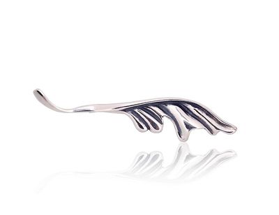 Silver Brooch A2920224POxBk