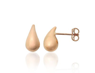 Gold Earrings A1201773AuR