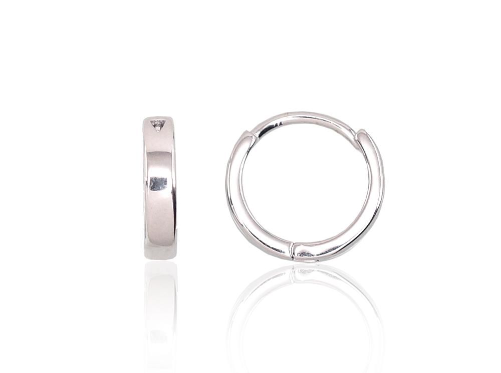 Silver Earrings Rinkutės A2202960PRhGr