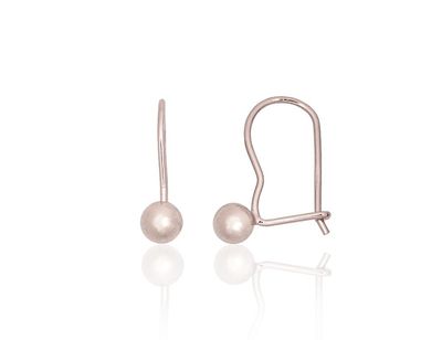 Silver hook earrings A2204337PRhGr Silver 925° Rhodium Plating hook Silver hook earrings A2204337PRhGr Silver 925° Rhodium Plating hook