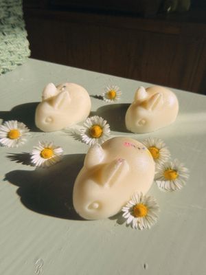 Wax Melts