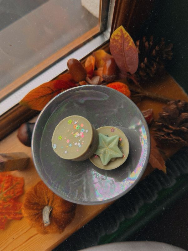 Enchanted Rainforest Melts