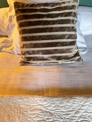 Beautiful Silk Velvet Cushion Plume Interior