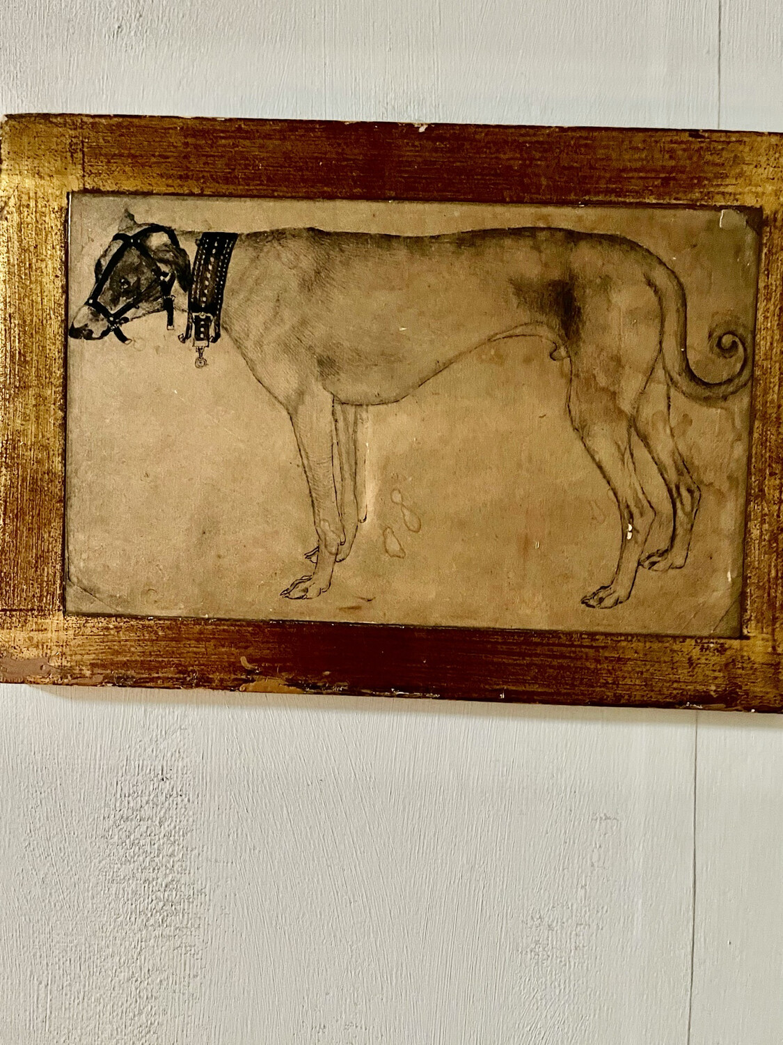 Greyhound On Board  In Water Gilded Frame