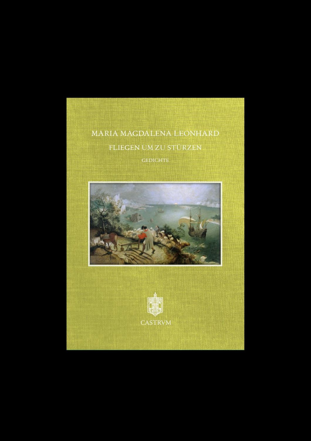 Maria Magdalena Leonhard - Fliegen um zu stürzen