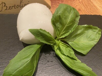 Mozzarella di Bufala