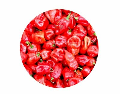LM Fresh Vegetable African Chilli Mexico Spicy 300g