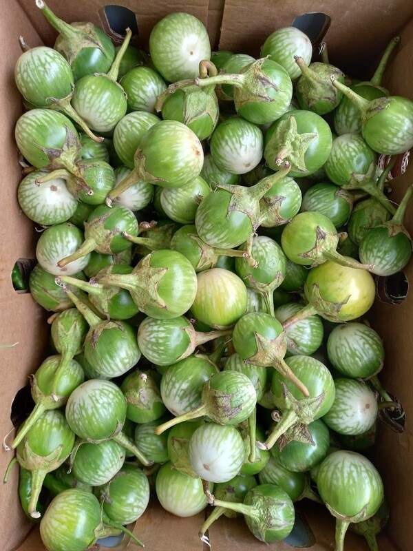 LM Vegetable Grüne Auberginen 7kg LM Vegetable Grüne Auberginen 7kg