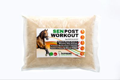 SEN Post Workout (Refill)