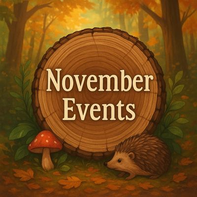 November 