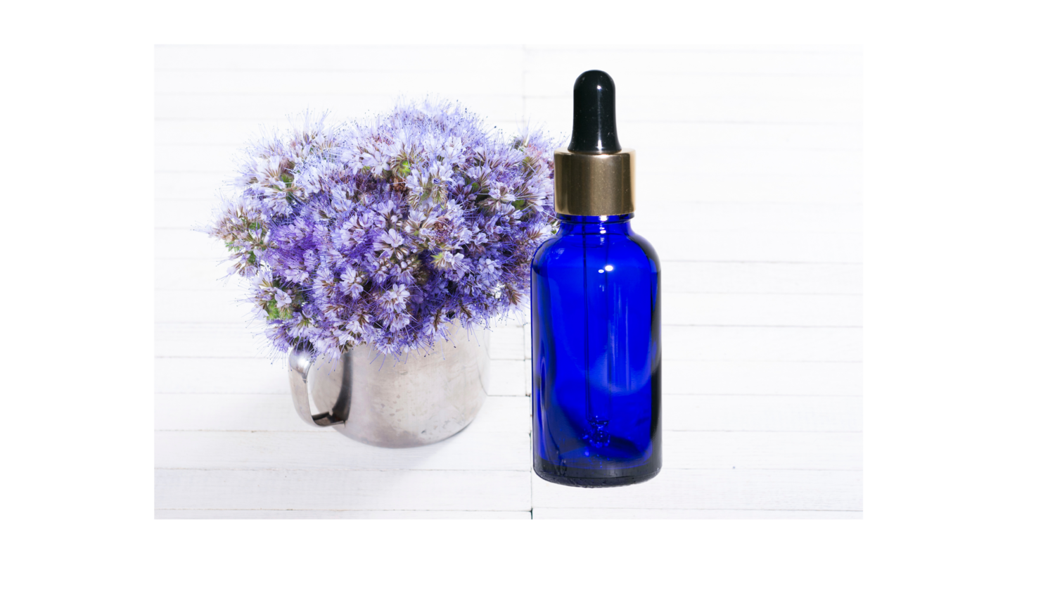 SQUALANE BOTANICAL ANTI-AGING SERUM