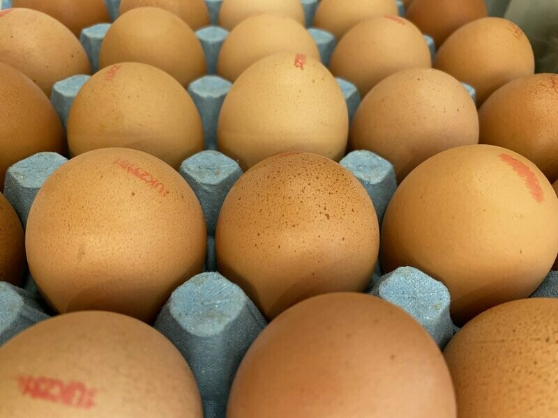 Half Dozen Free Range Eggs