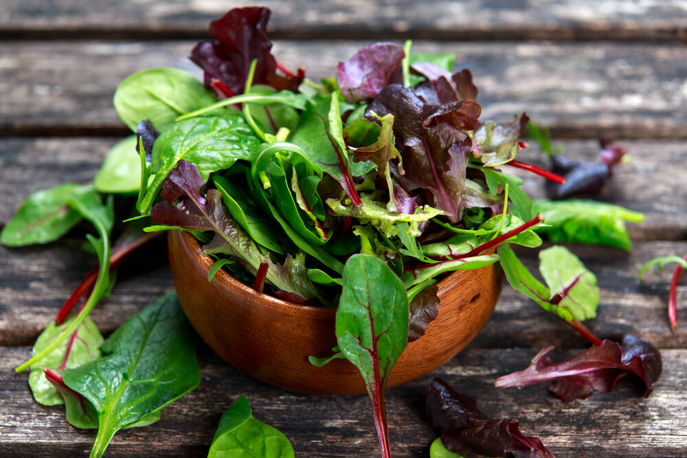 Wildkräutersalat Wildkräutersalat