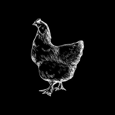 Hauptspeisen - Geflügel