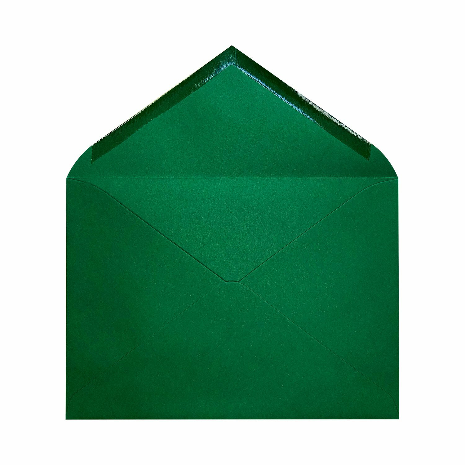 Sobres Ministro | Basic Colors Verde Hoja