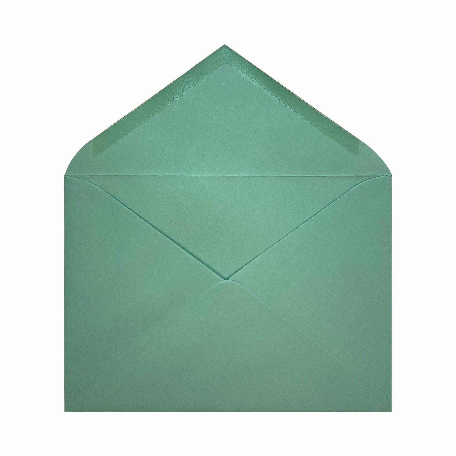 Sobres Ministro | Basic Colors Matcha Tea