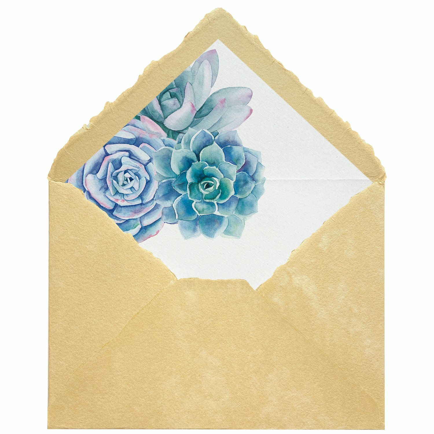 Sobres artesanales forrados estampados | Suculentas