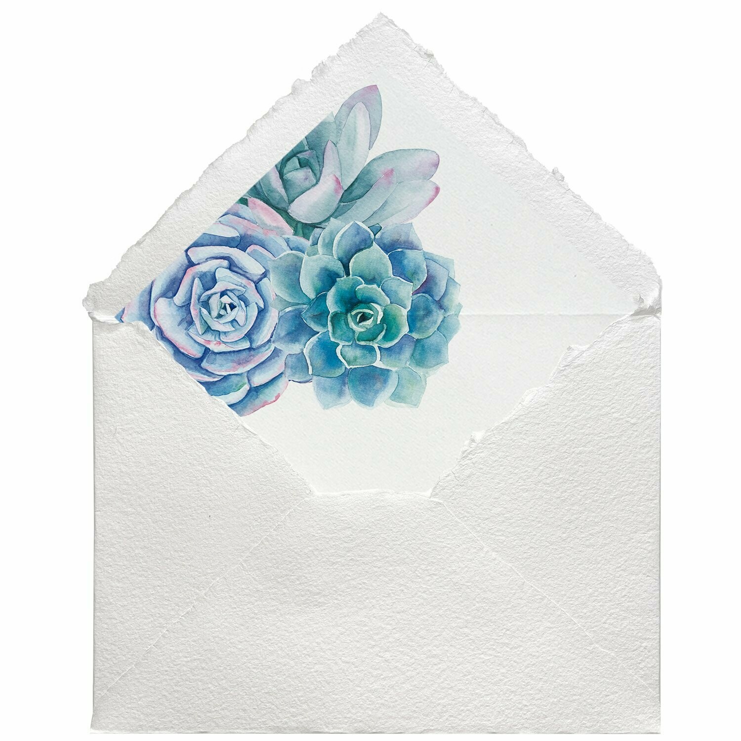 Sobres artesanales forrados estampados | Suculentas, Color del Sobre: Blanco