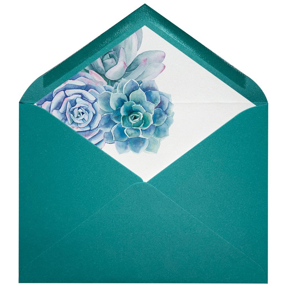 Sobres forrados estampados C5 | Suculentas