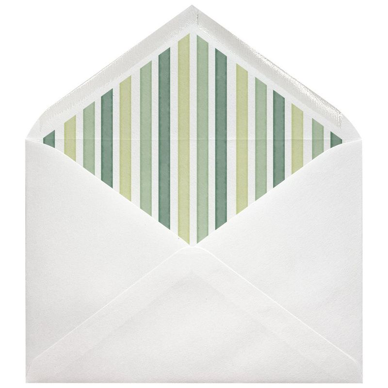 Sobres forrados estampados C5 | Linea Botánica