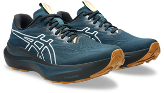 ASICS GEL GT 2000 14 TRUOMO 1011C129-300