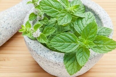 Ingredientes para cocteleria