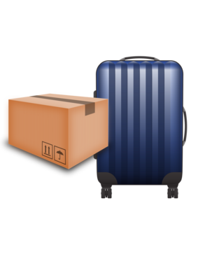 DHL Economy Saver 5kg-30kg