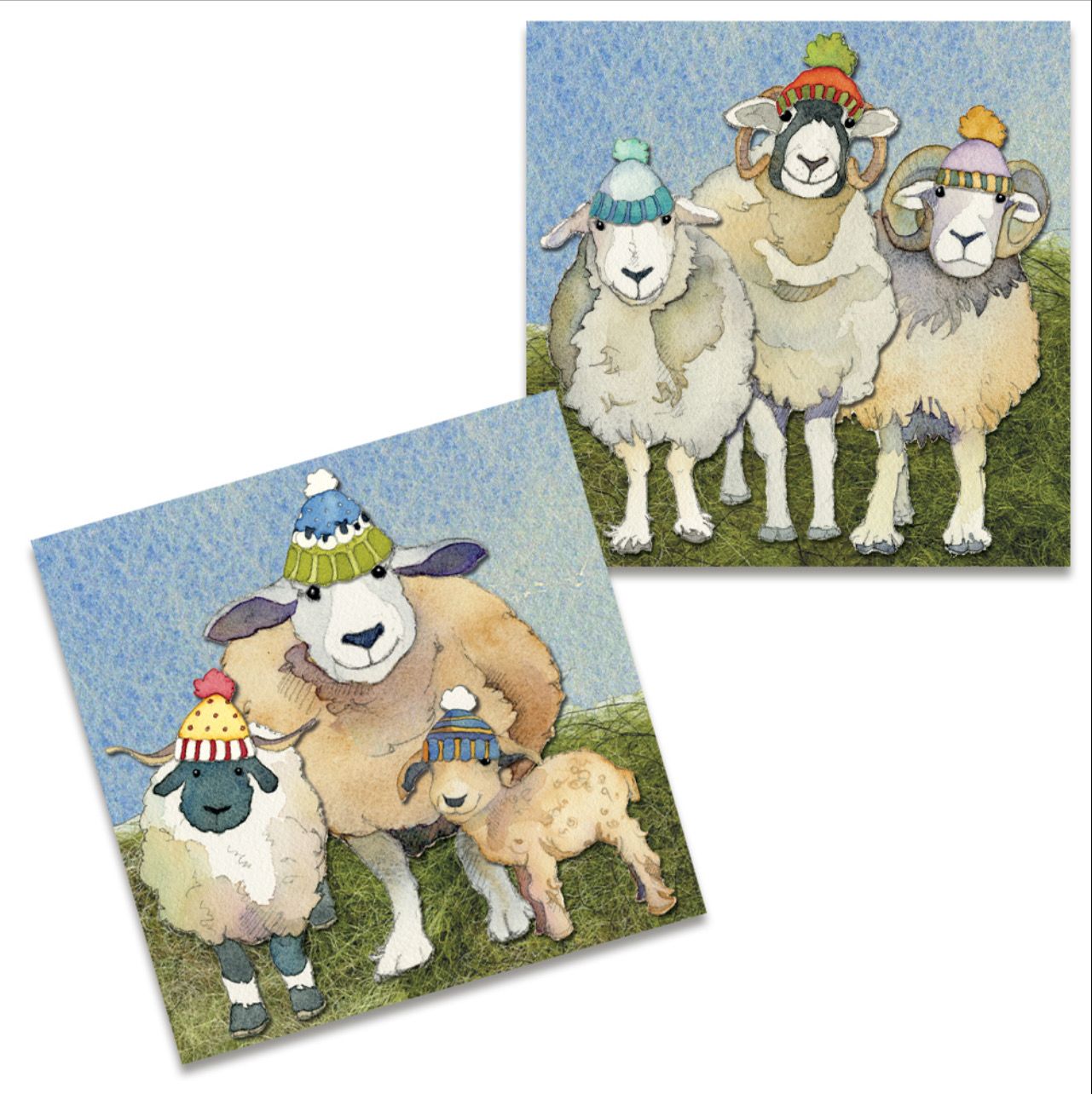 Emma Ball Mini Card Pack - Happy Sheep