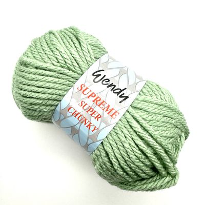 Wendy Supreme Super Chunky - SP61 - Aloe
