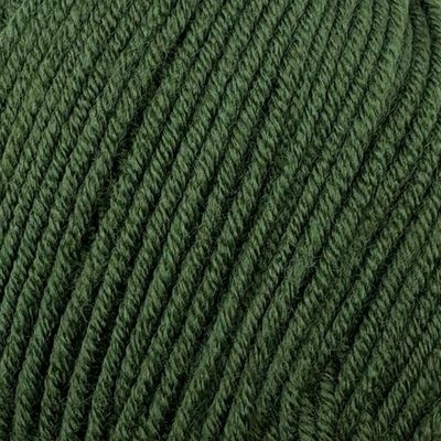 Stylecraft Bambino DK Yarn - Fierce Fern