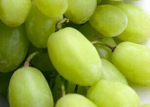 Crema Balsamica Classica Essigzubereitung Crema Balsamica Classica Essigzubereitung