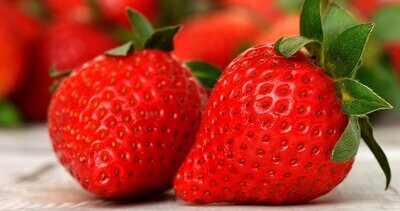 Erdbeer Likör 17 % Vol. (AfW)