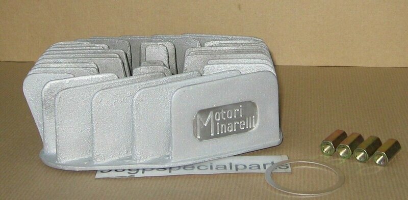 MINARELLI TESTA CADETTI
