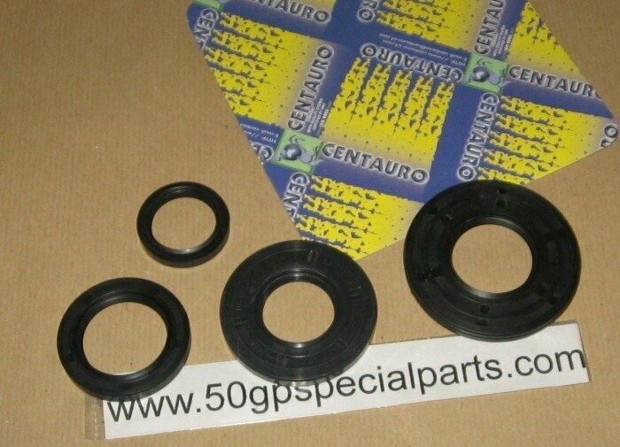 ROTAX FORMULA MACH 1993-95 SERIE PARAOLI MOTORE