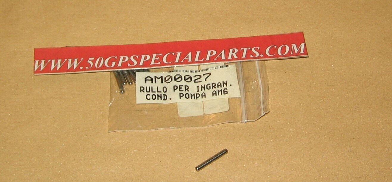 RULLO ING. CONDOTTO POMPA D.3X21,8 MINARELLI AM 345 6