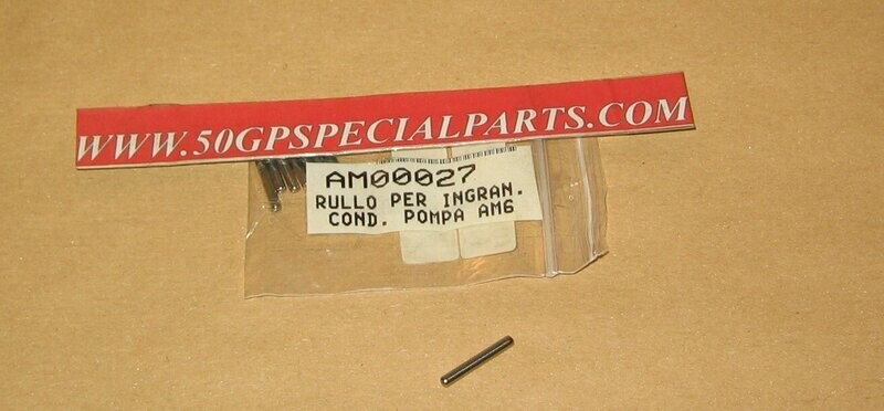 RULLO ING. CONDOTTO POMPA D.3X21,8 MINARELLI AM 345 6
